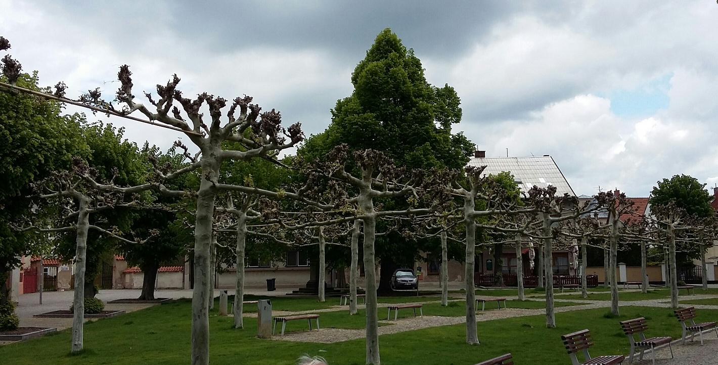 08 lázně Bohdaneč